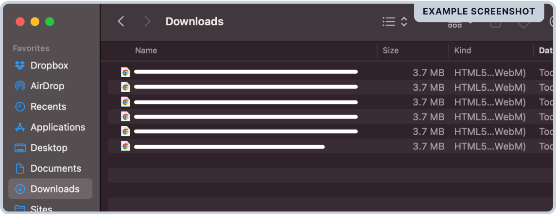 Screenshot of Downloads folder containing video files
