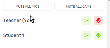 Teacher clicking on "Mute all mics" and "Mute all cams" button