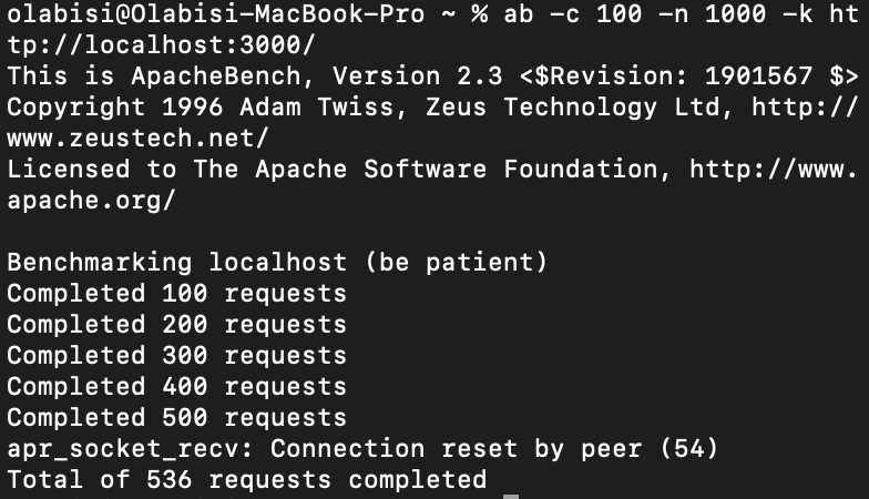 Terminal displaying application running out of memory after 536 requests