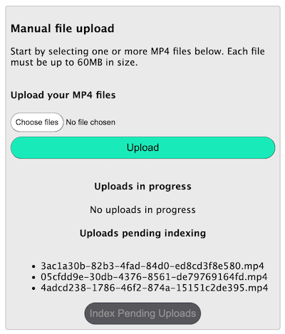 Manual file uploads pending indexing