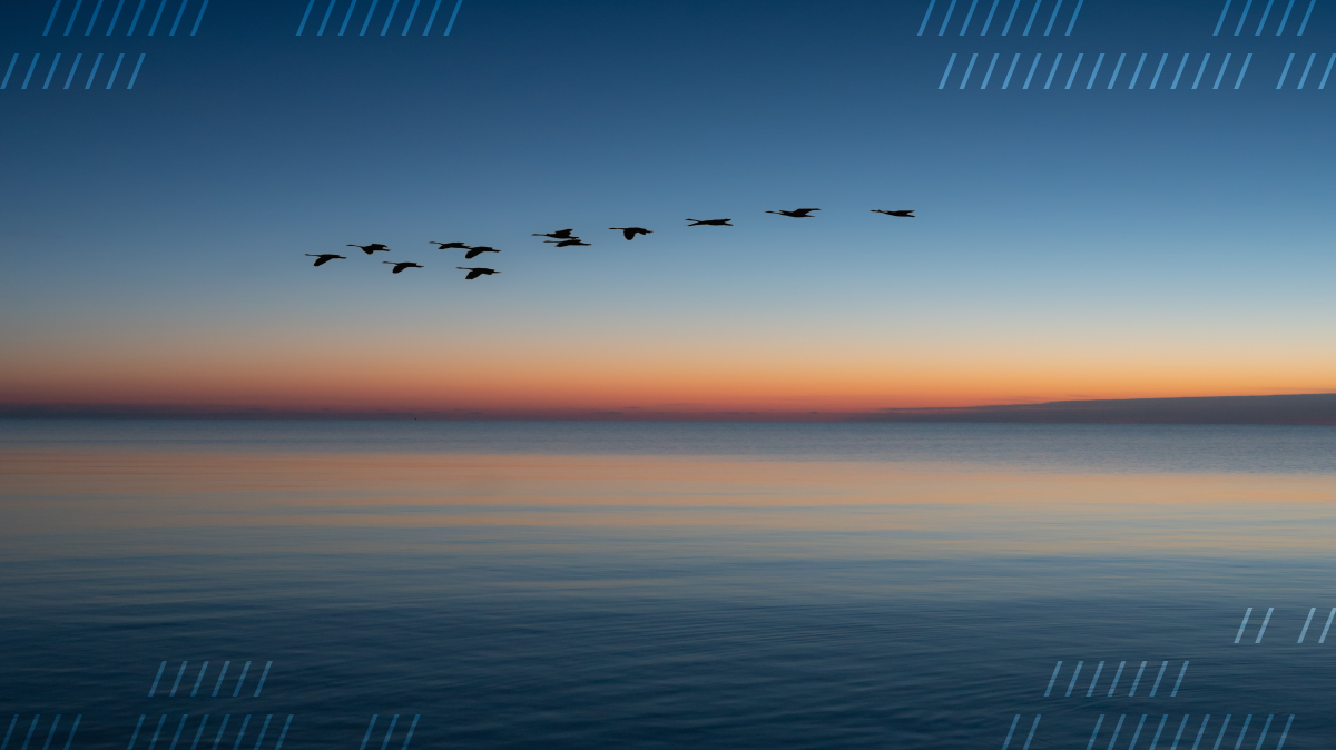 Migrating a Twilio video demo to Daily